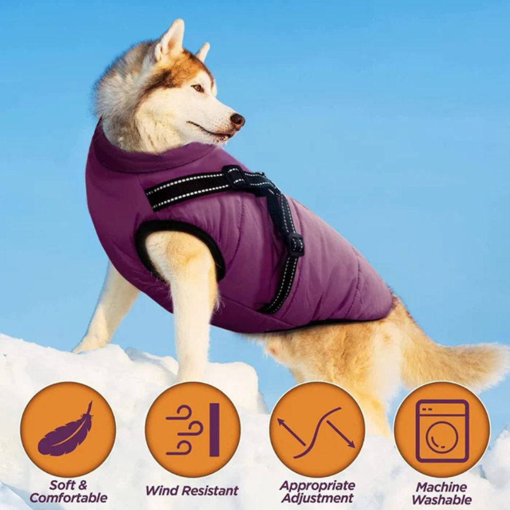 Waterproof Dog Coat