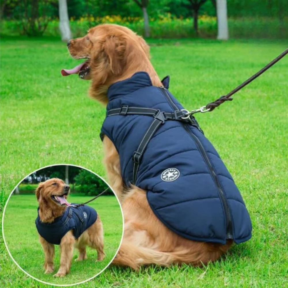 Waterproof Dog Coat